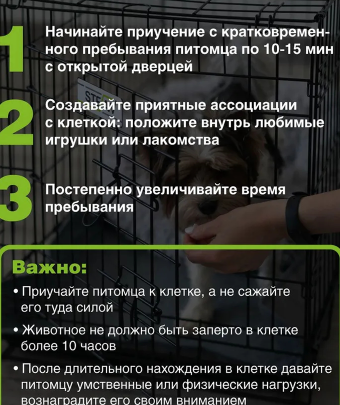 轮播【680-810】1-2